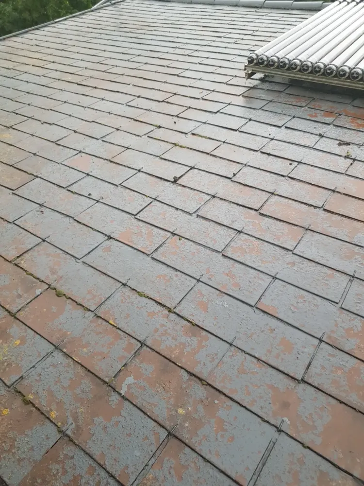 Nettoyage de toiture 2 (1)