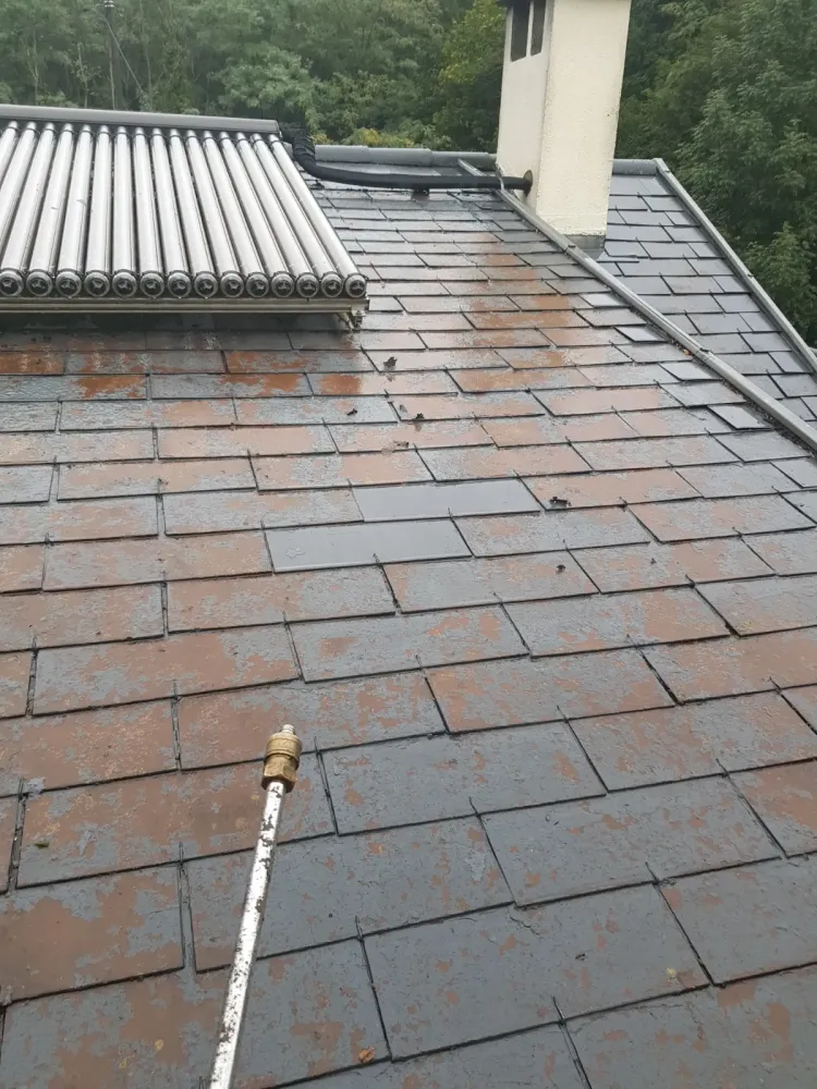 Nettoyage Toiture (1)