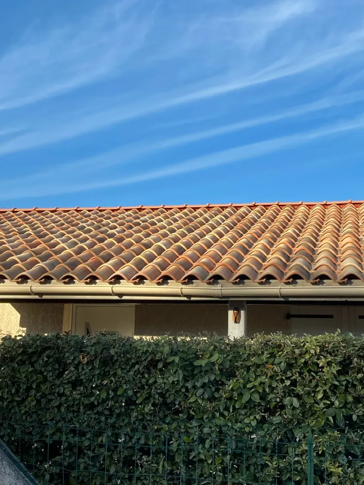 Façade de maison avec une haie végétale au premier plan et une large toiture en tuiles romanes bien alignées sous un ciel bleu