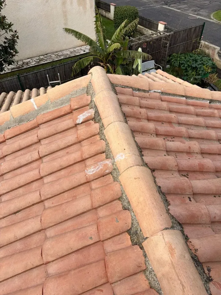Vue détaillée d'un faîtage en mortier ancien et grossier, montrant des traces de peinture blanche, des mousses et des tuiles cassées