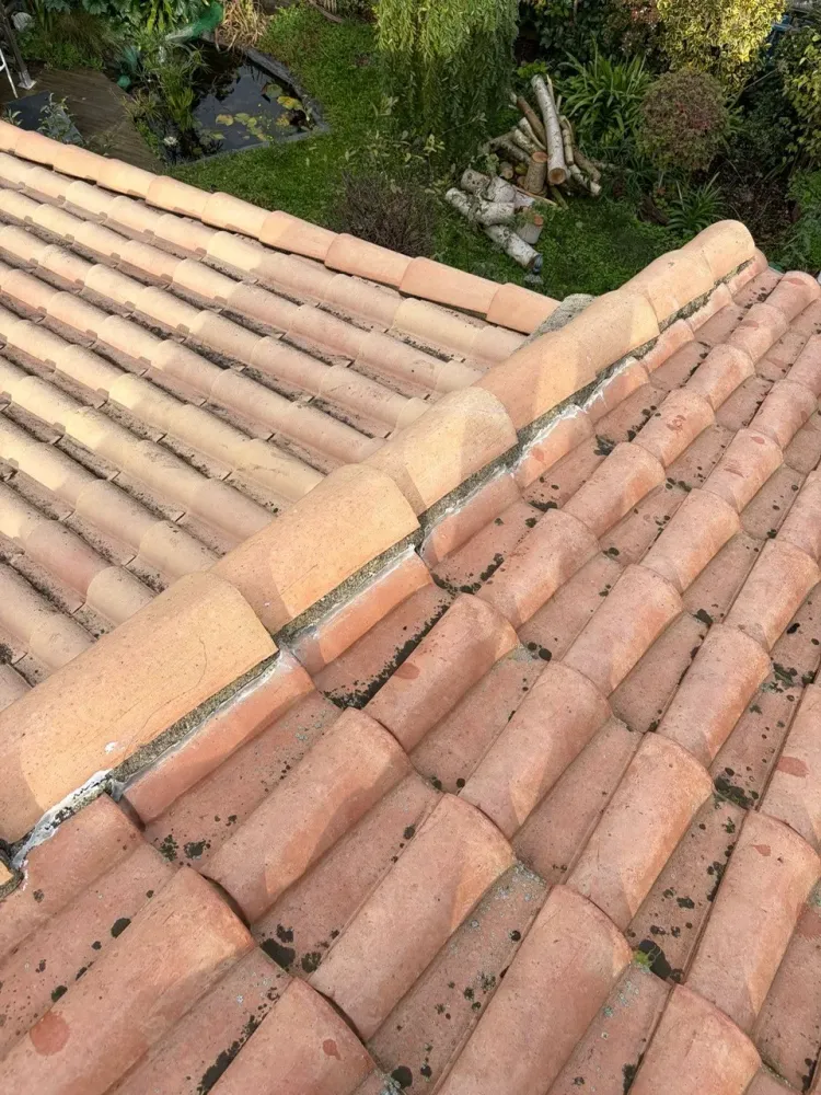 Vue rapprochée d'une ligne de faîtage en mortier sale, avec des dépôts biologiques et de la peinture blanche, avant le nettoyage de la toiture