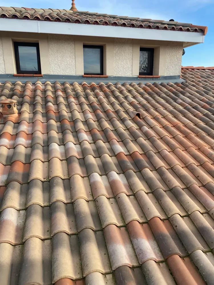 Toit en tuiles avec fenêtres